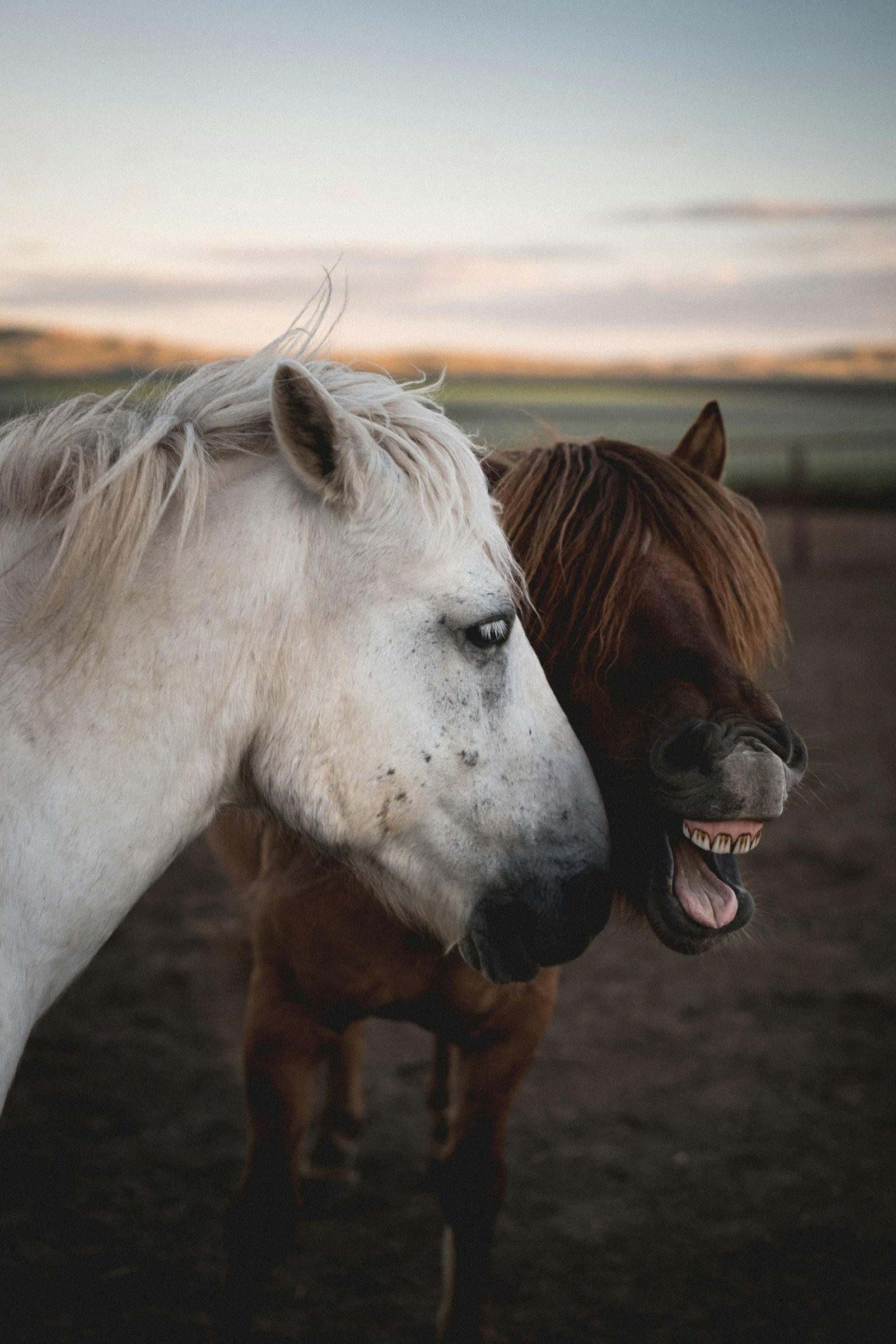 Mongolia