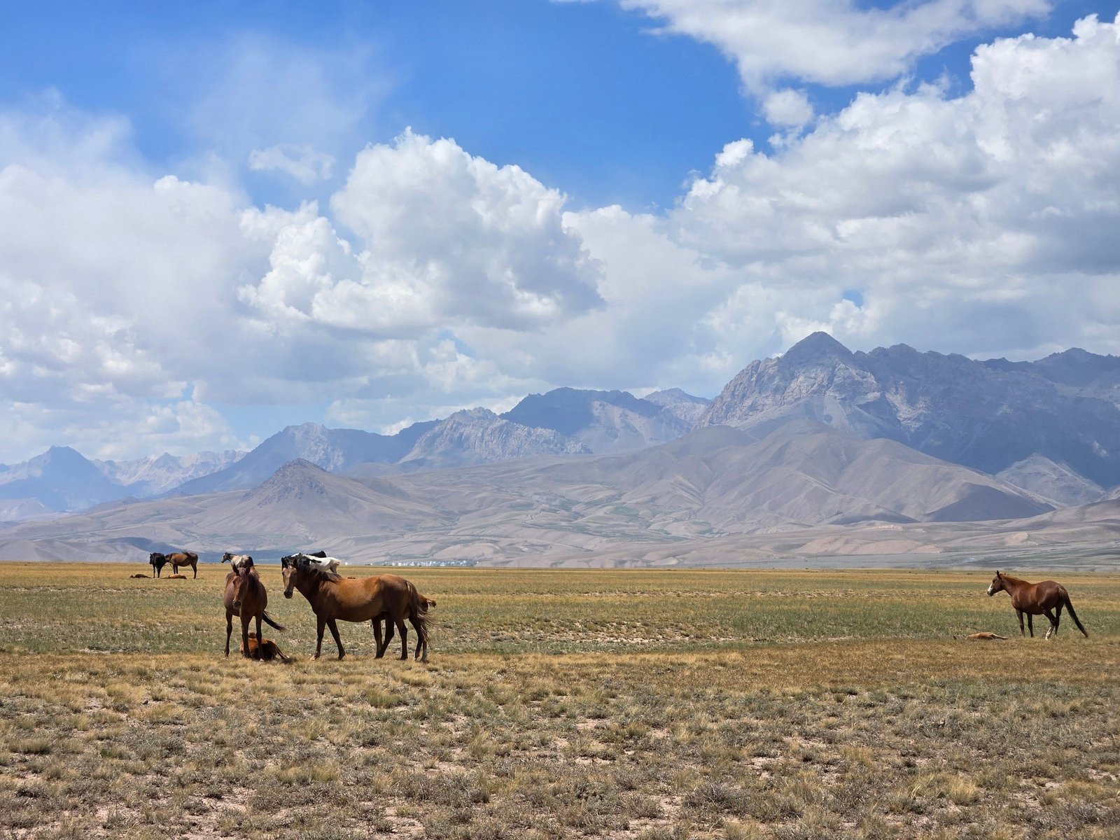 On horseback