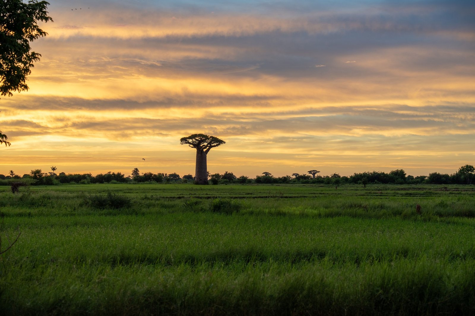 Madagascar