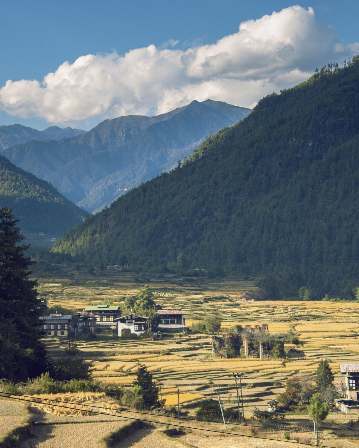 Phobjikha
