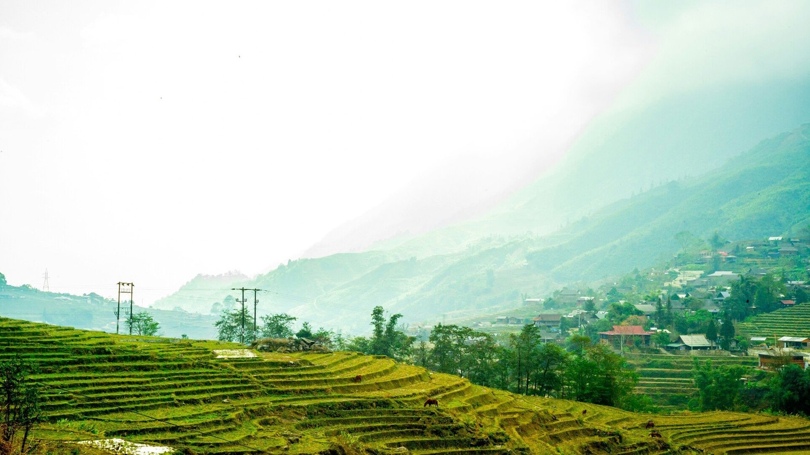 Arunachal Pradesh