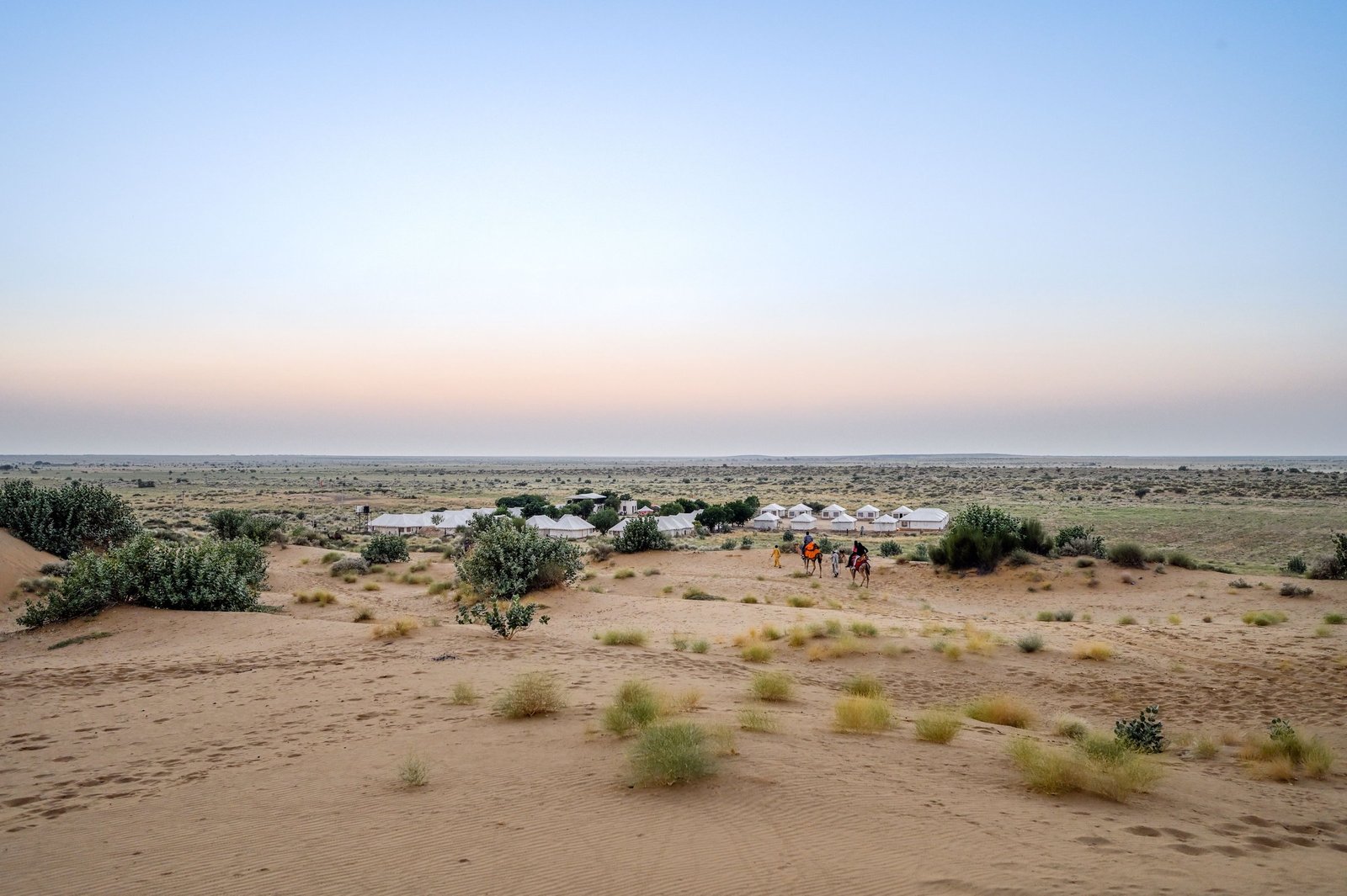 Desert nights