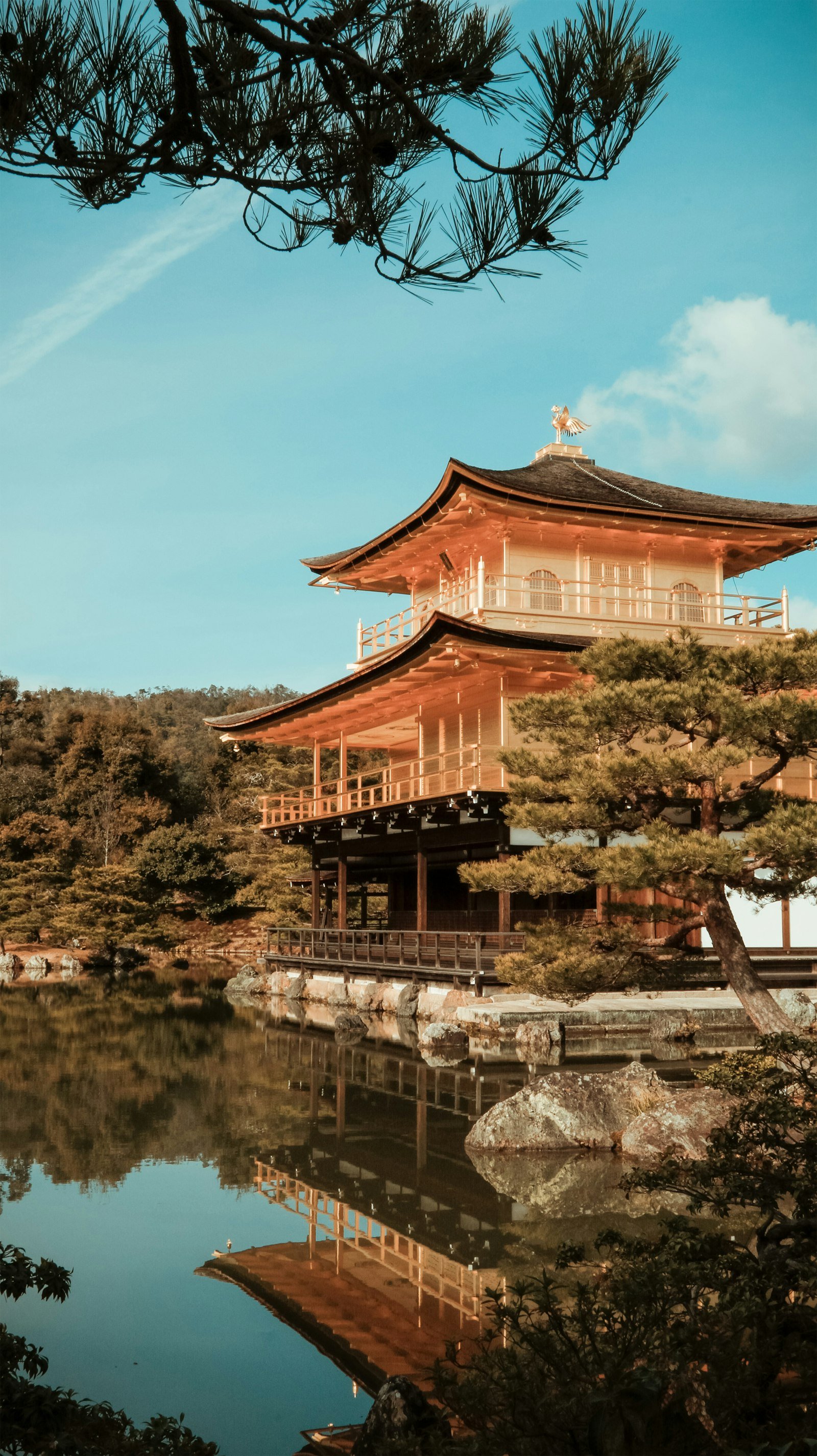 Kyoto temple in autumn - Japan · East Asia