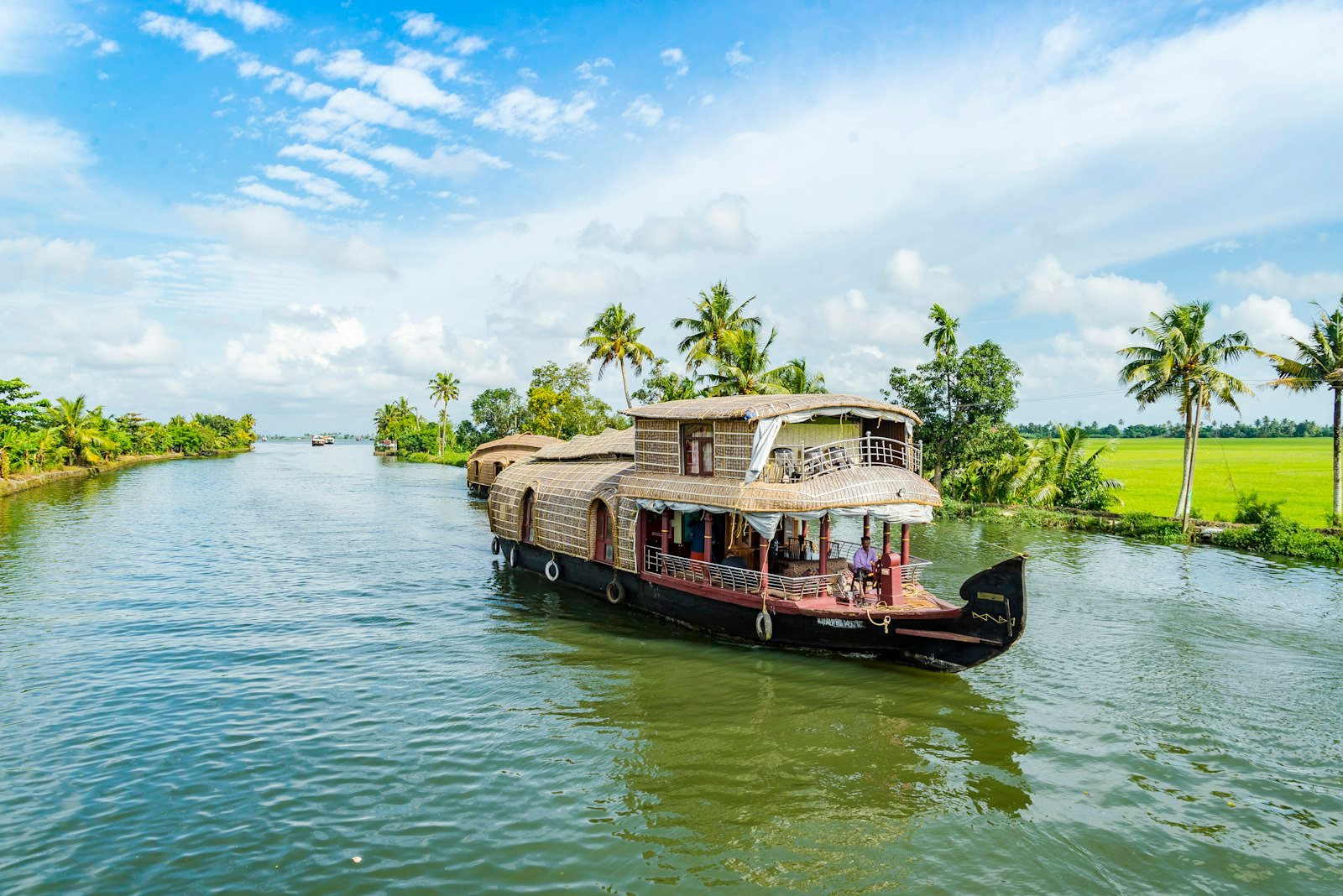 Kerala backwaters under coconut palms - Kerala · The Subcontinent