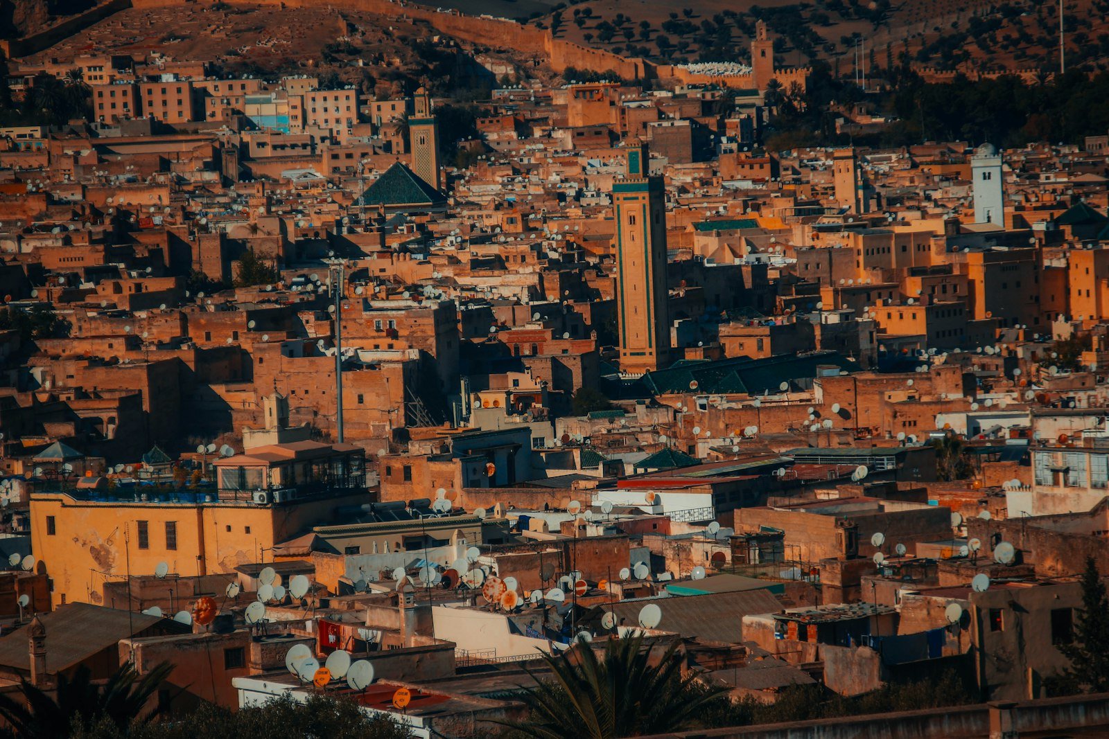 Fez medina rooftops - Morocco · The Persianate World