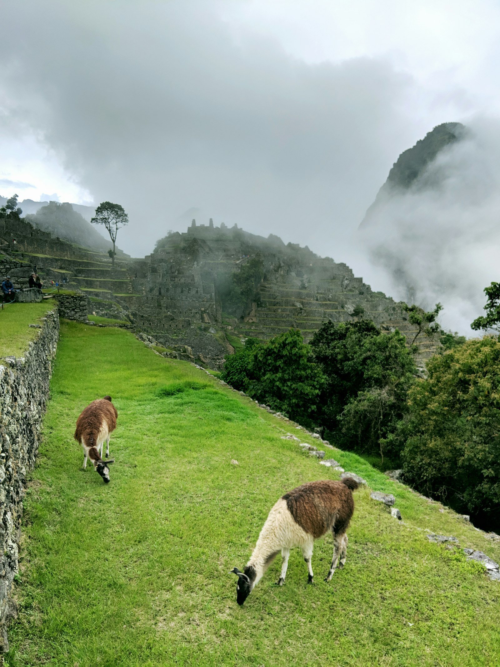 Quechua weaving and dyed wool - Peru · The Andes