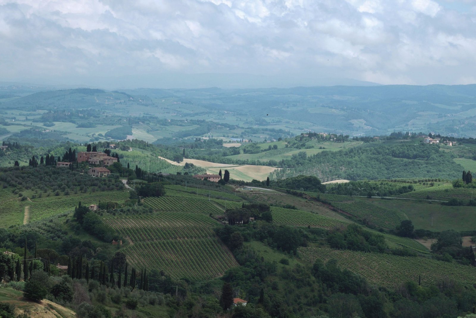 Harvest in the hills