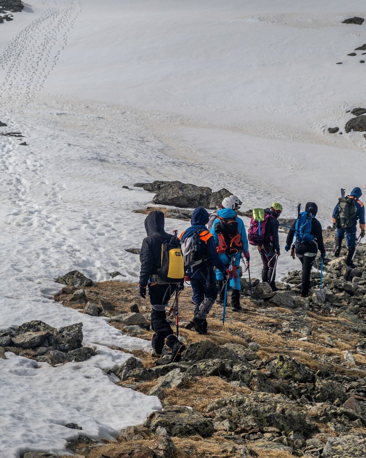 Themed expeditions
